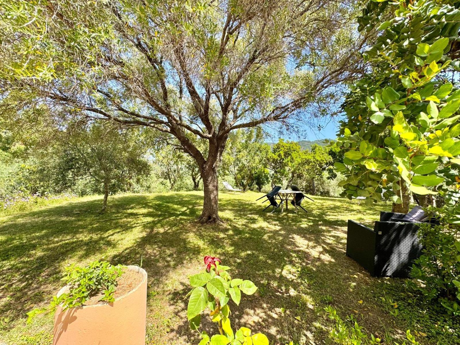 קרדדו Villa With Pool מראה חיצוני תמונה